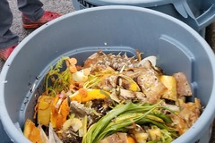 Online Activity: Food Waste and the Climate Crisis: What to Know & What to Do