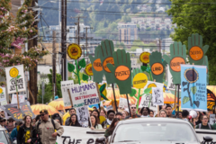 Online Activity: Review Portland Climate Emergency Workplan