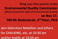 In-Person Activity: Zenith Energy protest