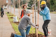 In-Person Activity: Climate Justice Tree Planting with Friends of Trees (Gresham)